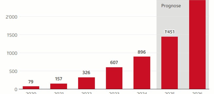 Batteriemonitoring, Studie Batteriespeicher und zukünftigen Speicherbedarf